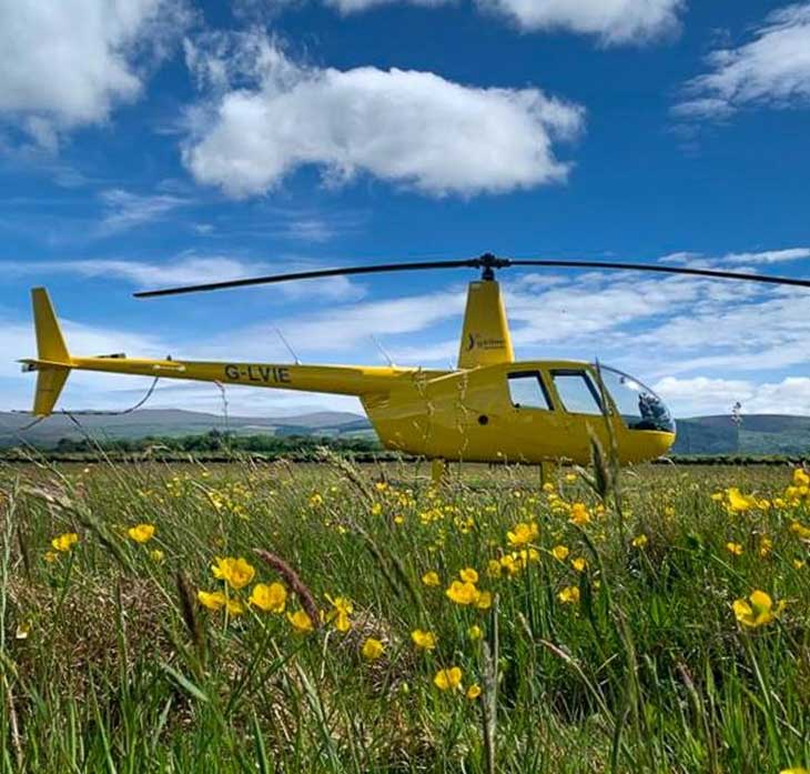 Moya Aviation Whale Coast Charters