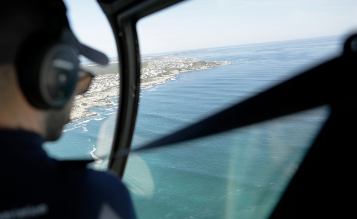 Moya Aviation Whale Watching Helicopter Adventures