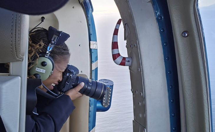 Moya Aviation Whale Watching Helicopter Charters