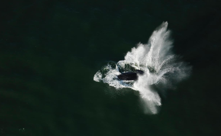 Moya Aviation helicopter whale watching charters Hermanus